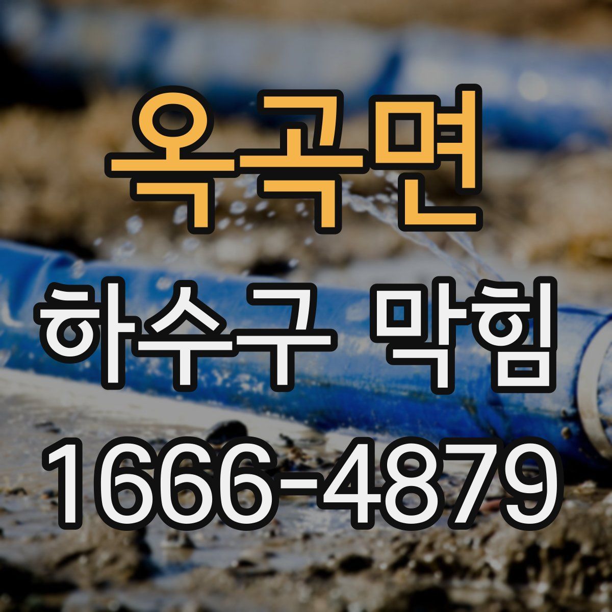 옥곡면 하수구 막힘