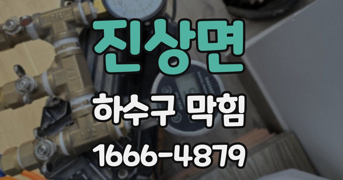진상면 하수구 막힘