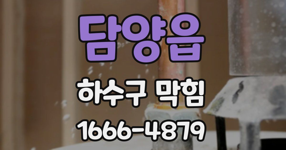 담양읍 하수구 막힘