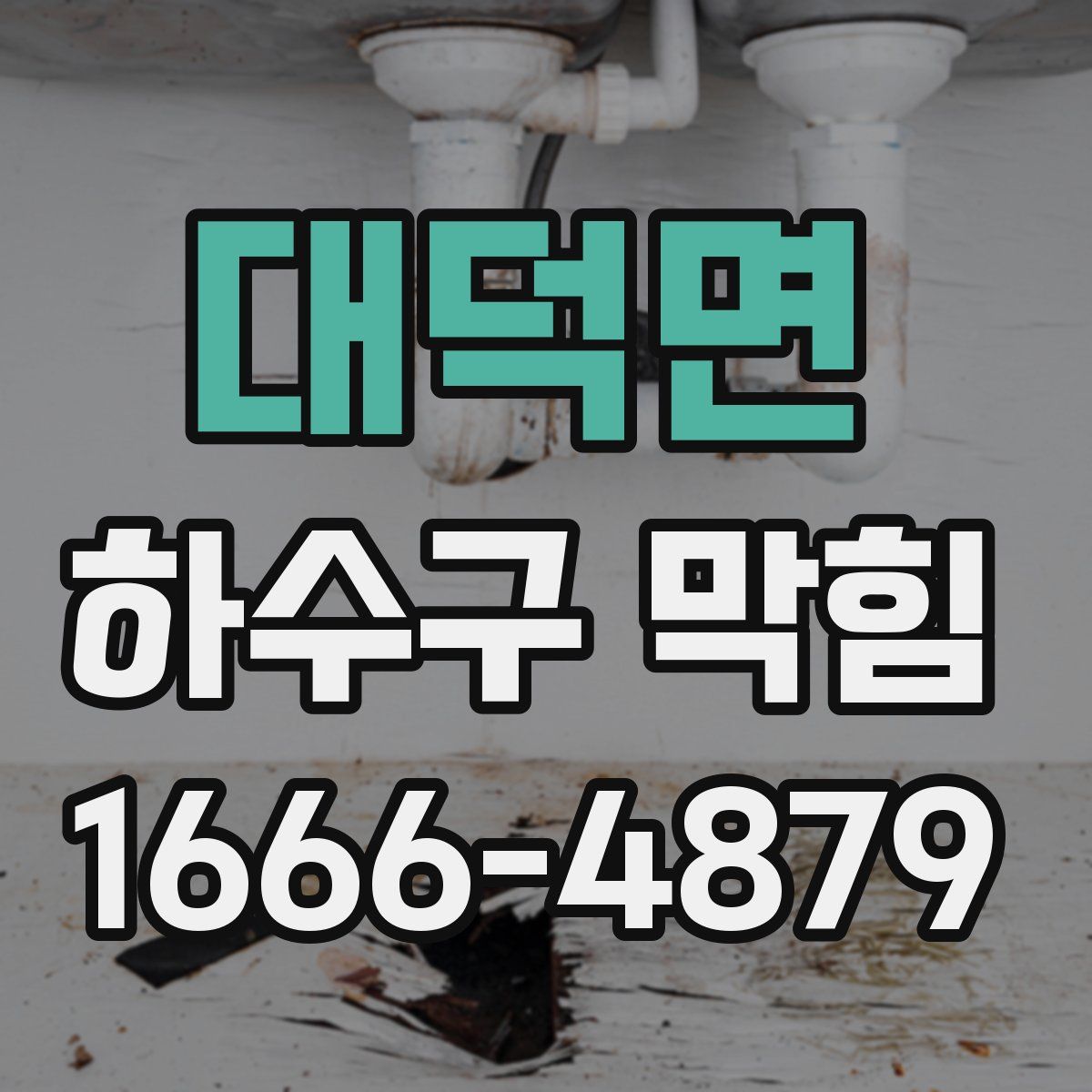 대덕면 하수구 막힘