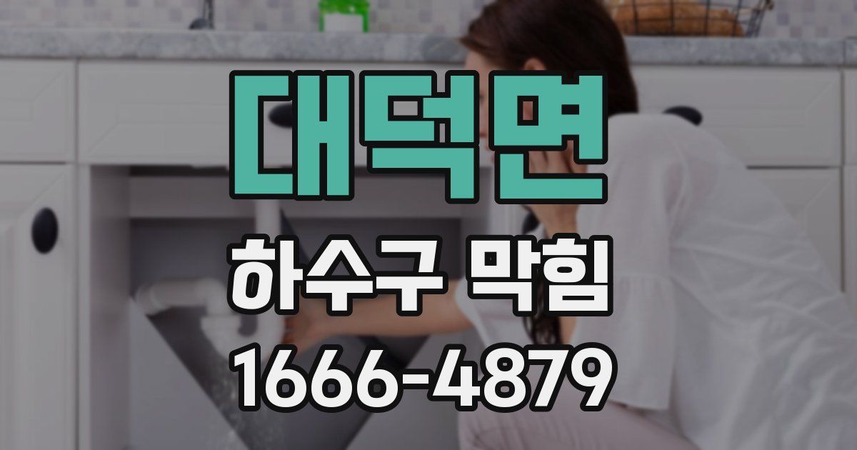 대덕면 하수구 막힘
