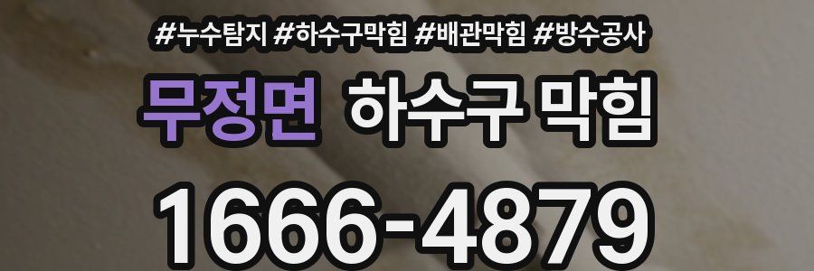 무정면 하수구 막힘