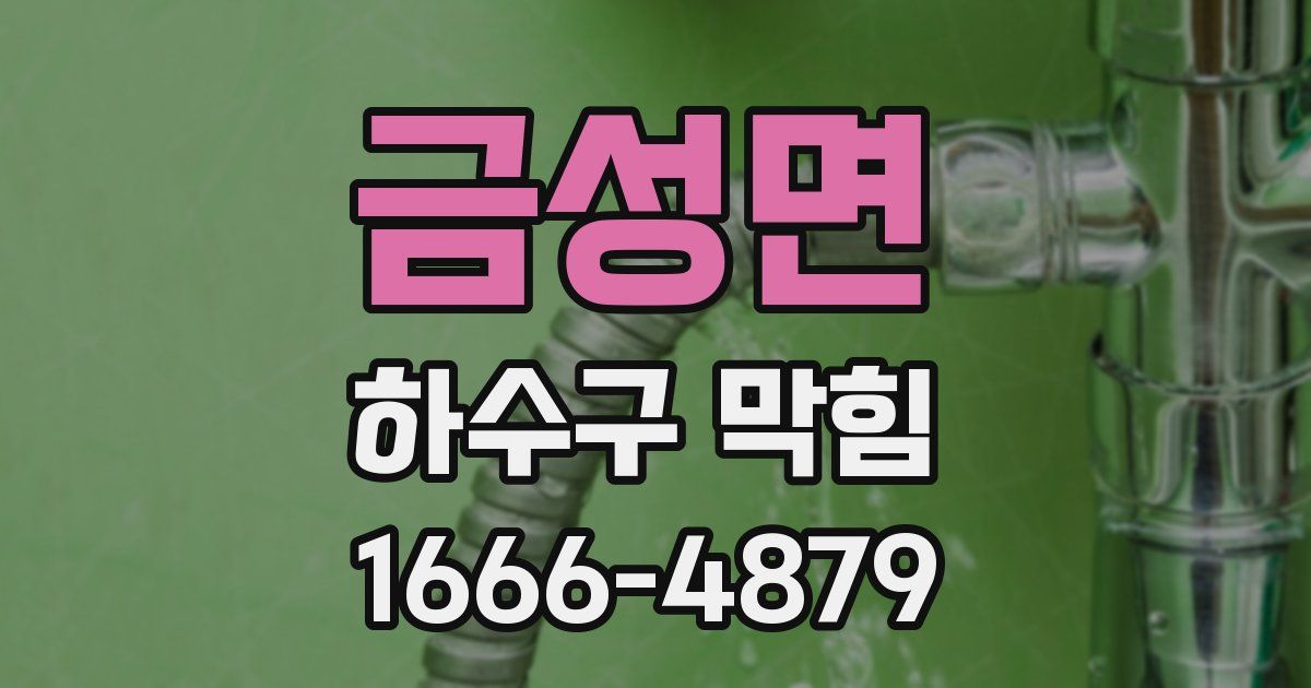 금성면 하수구 막힘