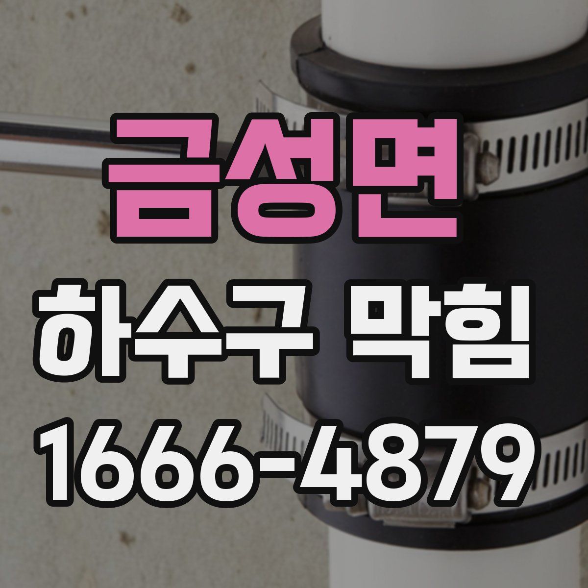 금성면 하수구 막힘