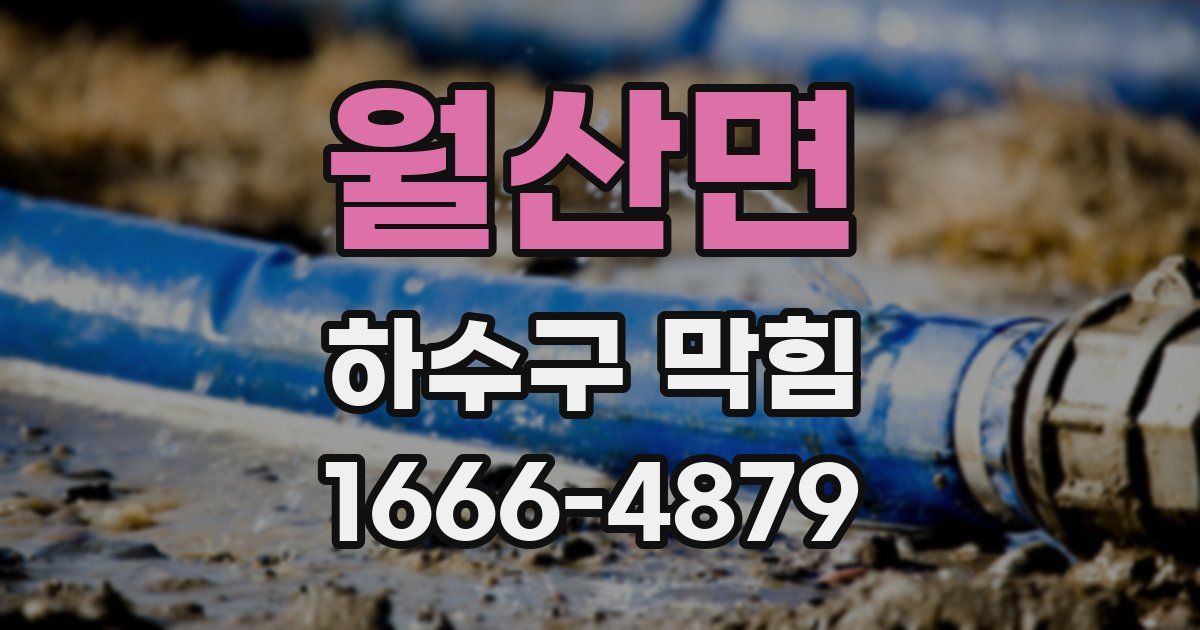 월산면 하수구 막힘