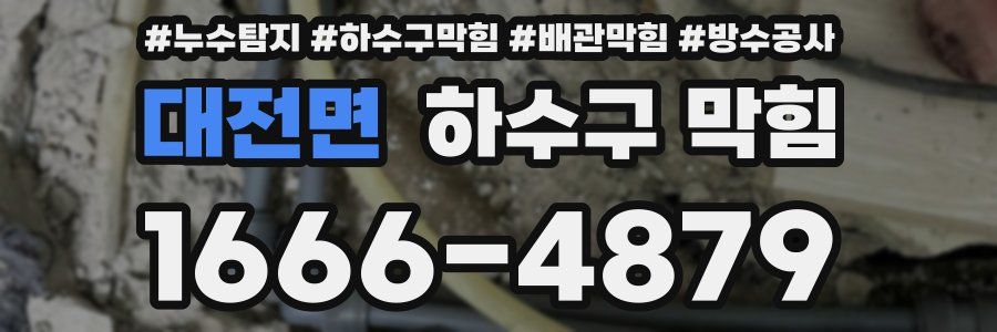 대전면 하수구 막힘