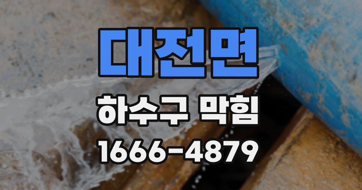 대전면 하수구 막힘