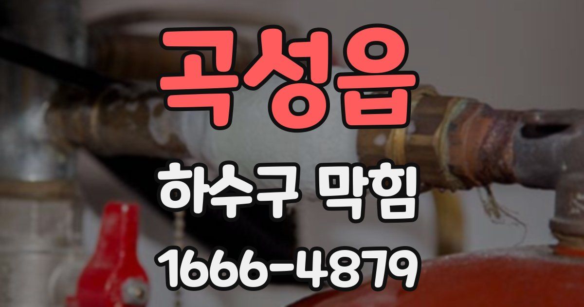 곡성읍 하수구 막힘