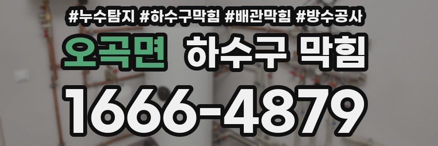 오곡면 하수구 막힘