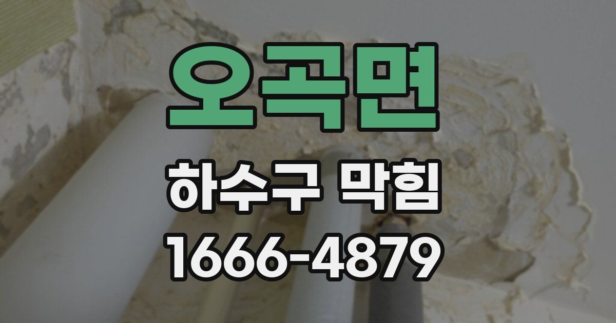 오곡면 하수구 막힘