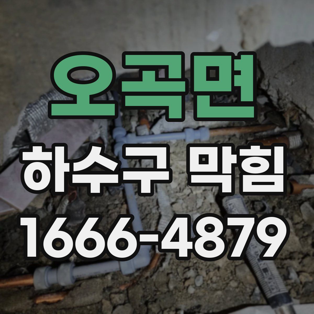 오곡면 하수구 막힘