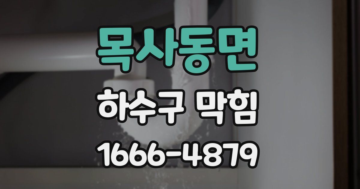 목사동면 하수구 막힘