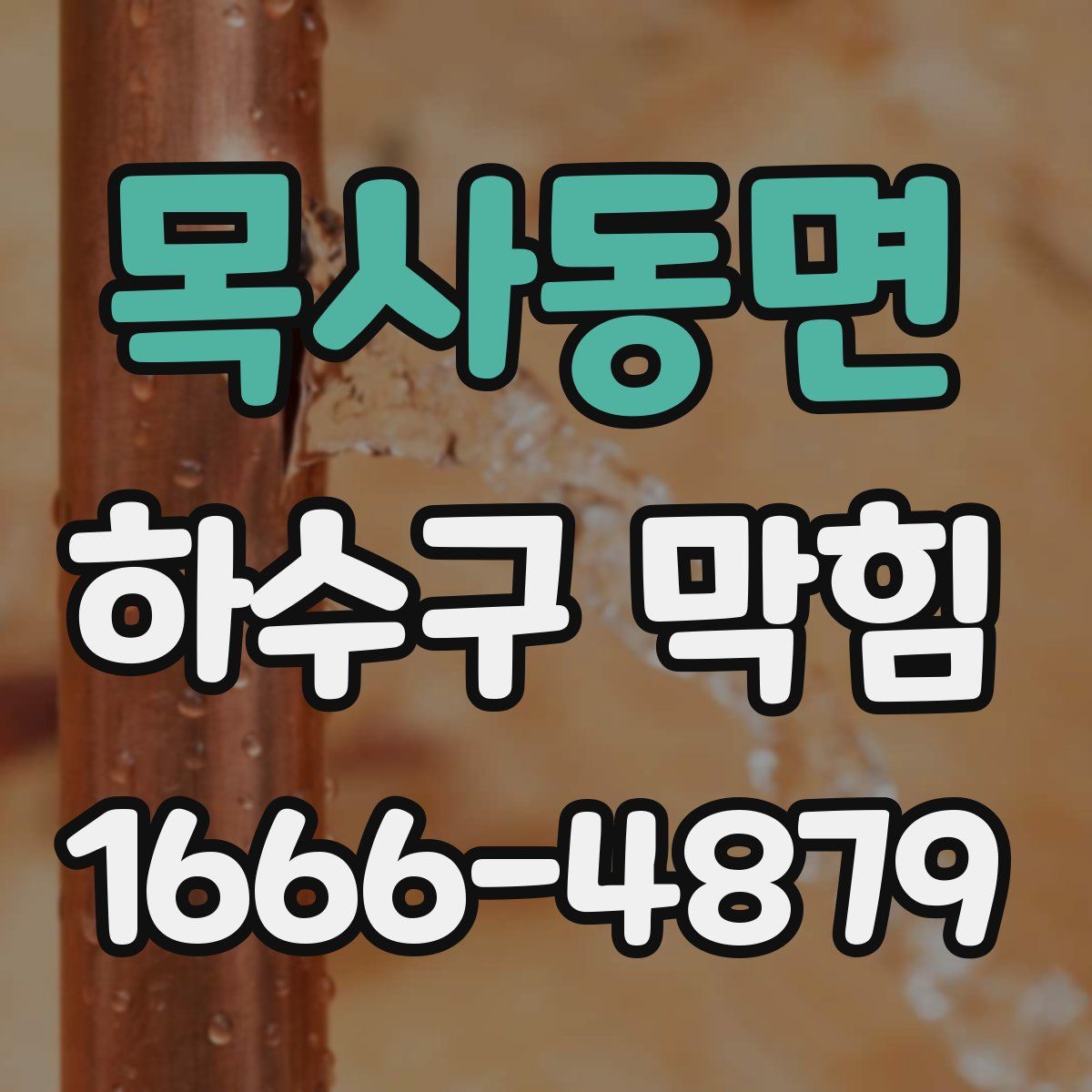 목사동면 하수구 막힘