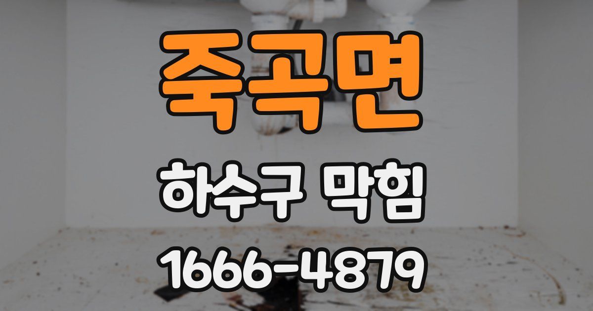 죽곡면 하수구 막힘