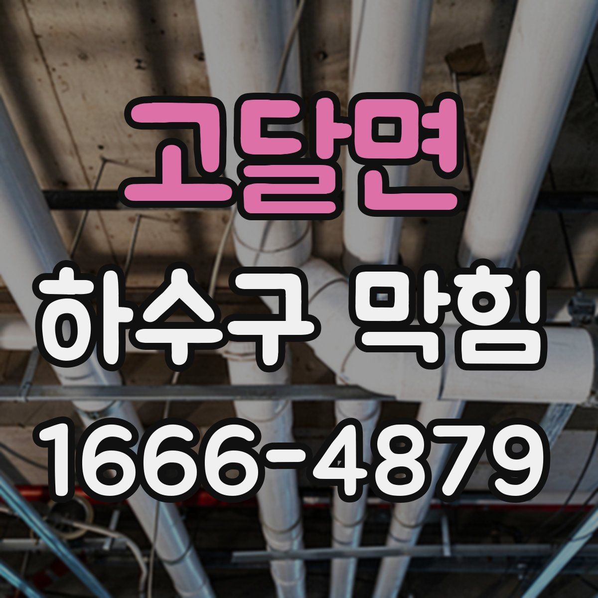 고달면 하수구 막힘