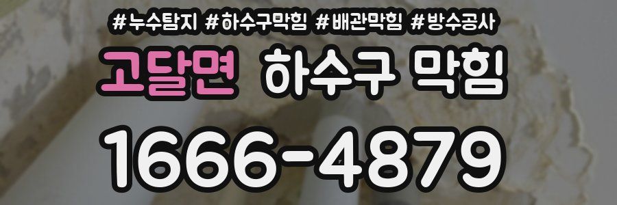 고달면 하수구 막힘