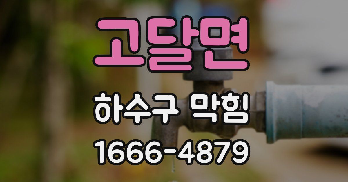 고달면 하수구 막힘