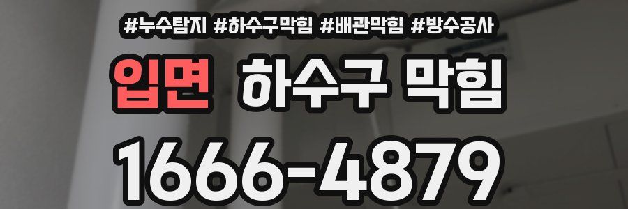 입면 하수구 막힘
