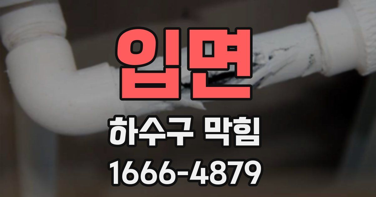 입면 하수구 막힘