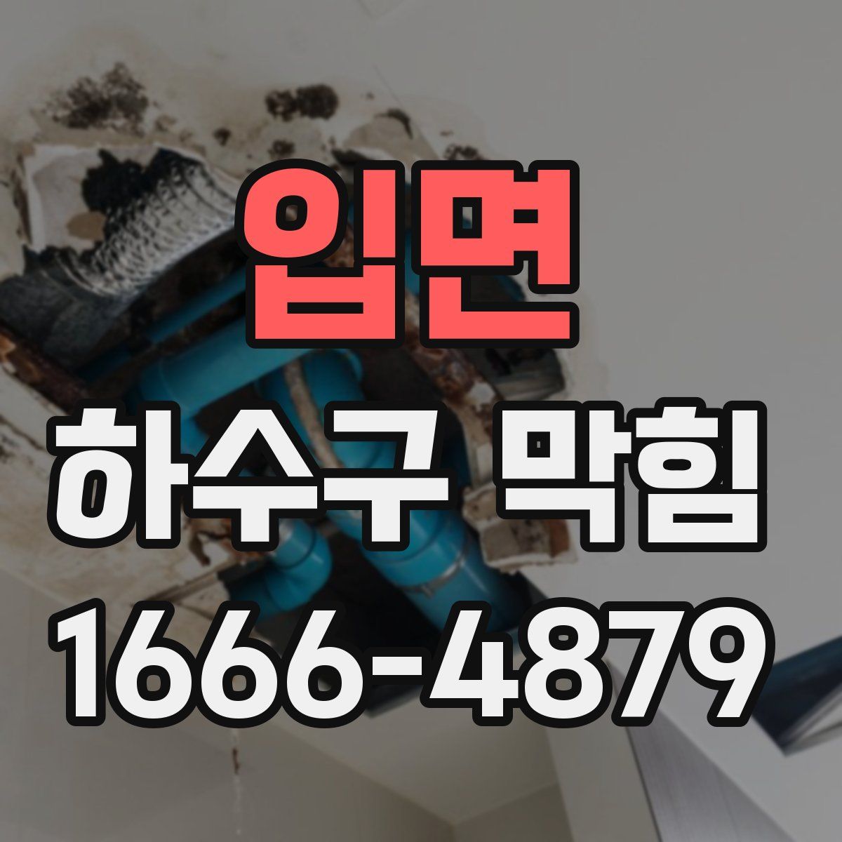 입면 하수구 막힘