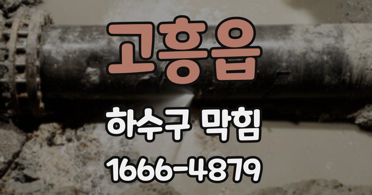 고흥읍 하수구 막힘