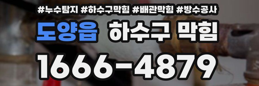 도양읍 하수구 막힘