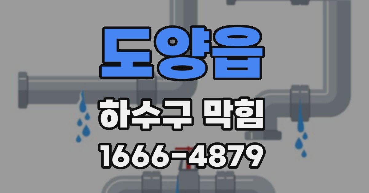 도양읍 하수구 막힘