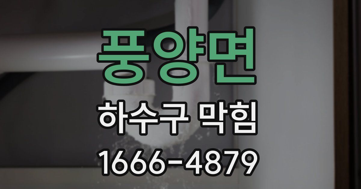 풍양면 하수구 막힘