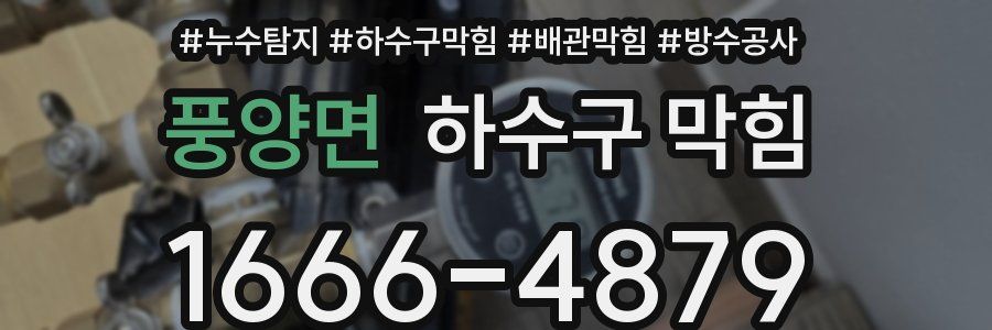 풍양면 하수구 막힘