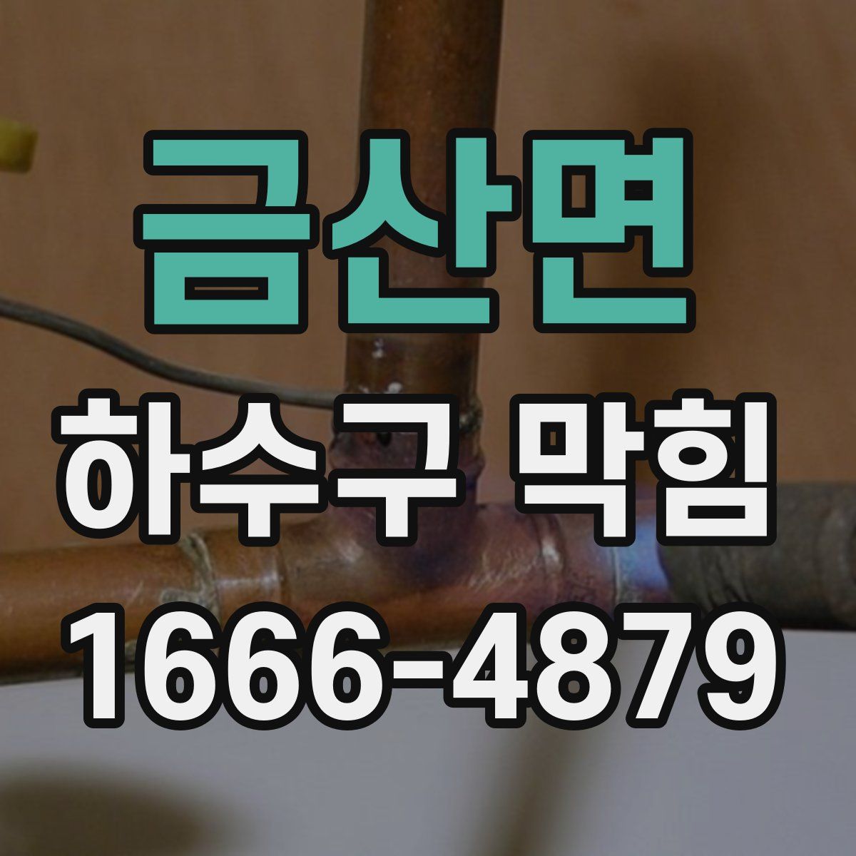 금산면 하수구 막힘
