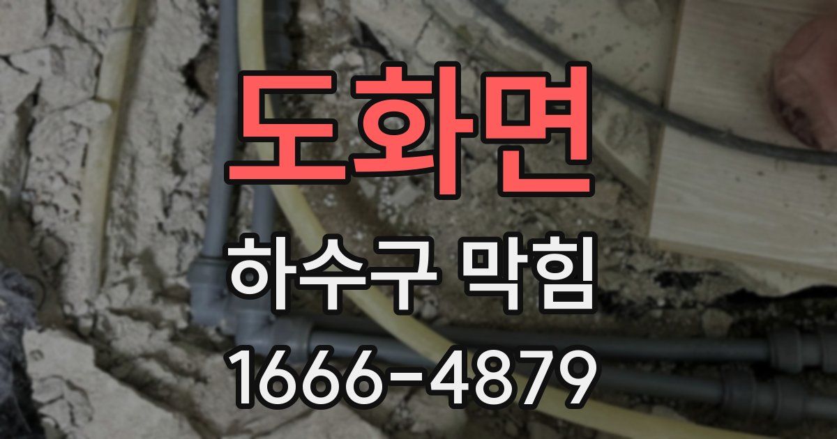 도화면 하수구 막힘
