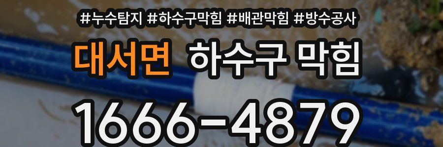 대서면 하수구 막힘