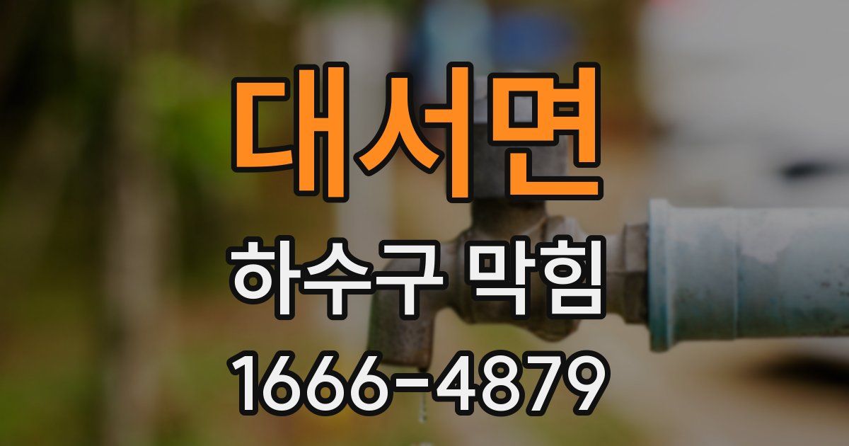 대서면 하수구 막힘