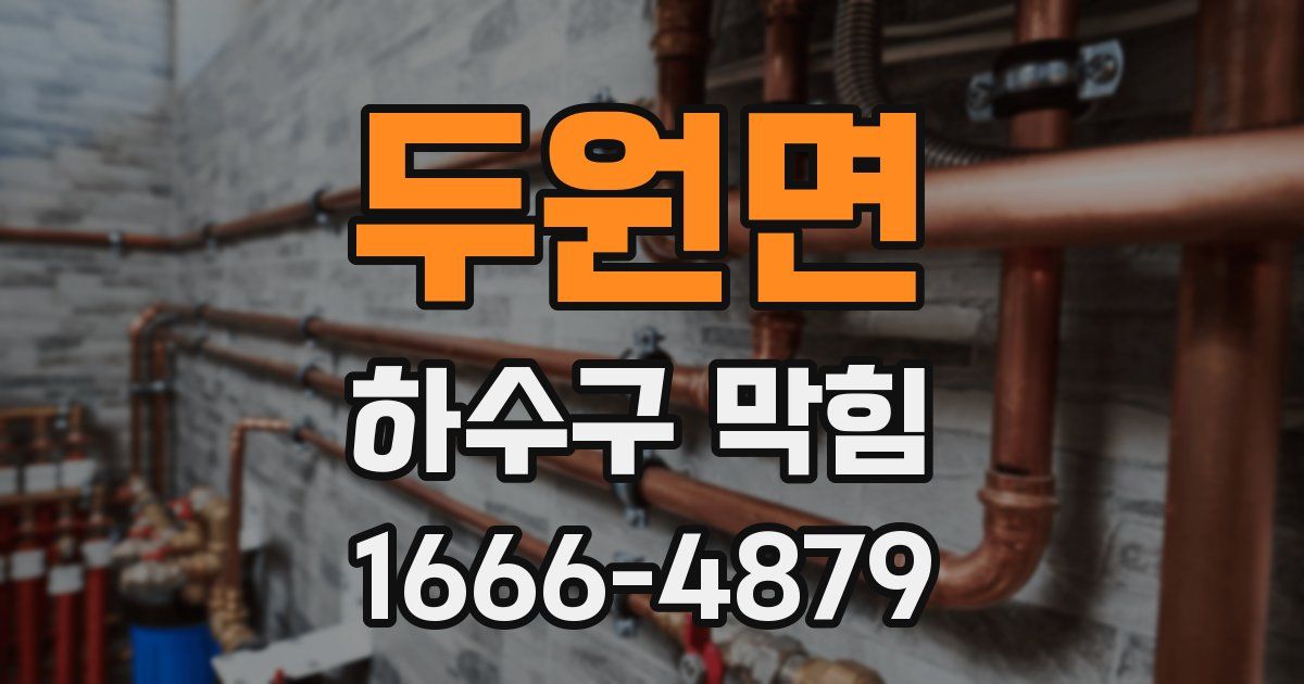 두원면 하수구 막힘