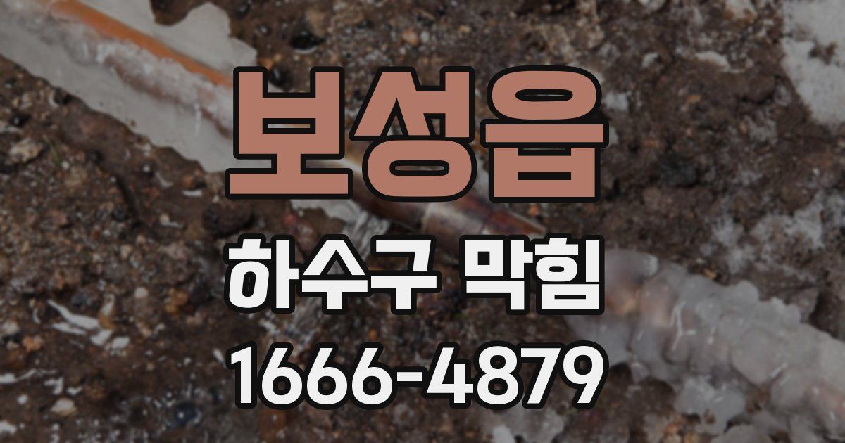 보성읍 하수구 막힘