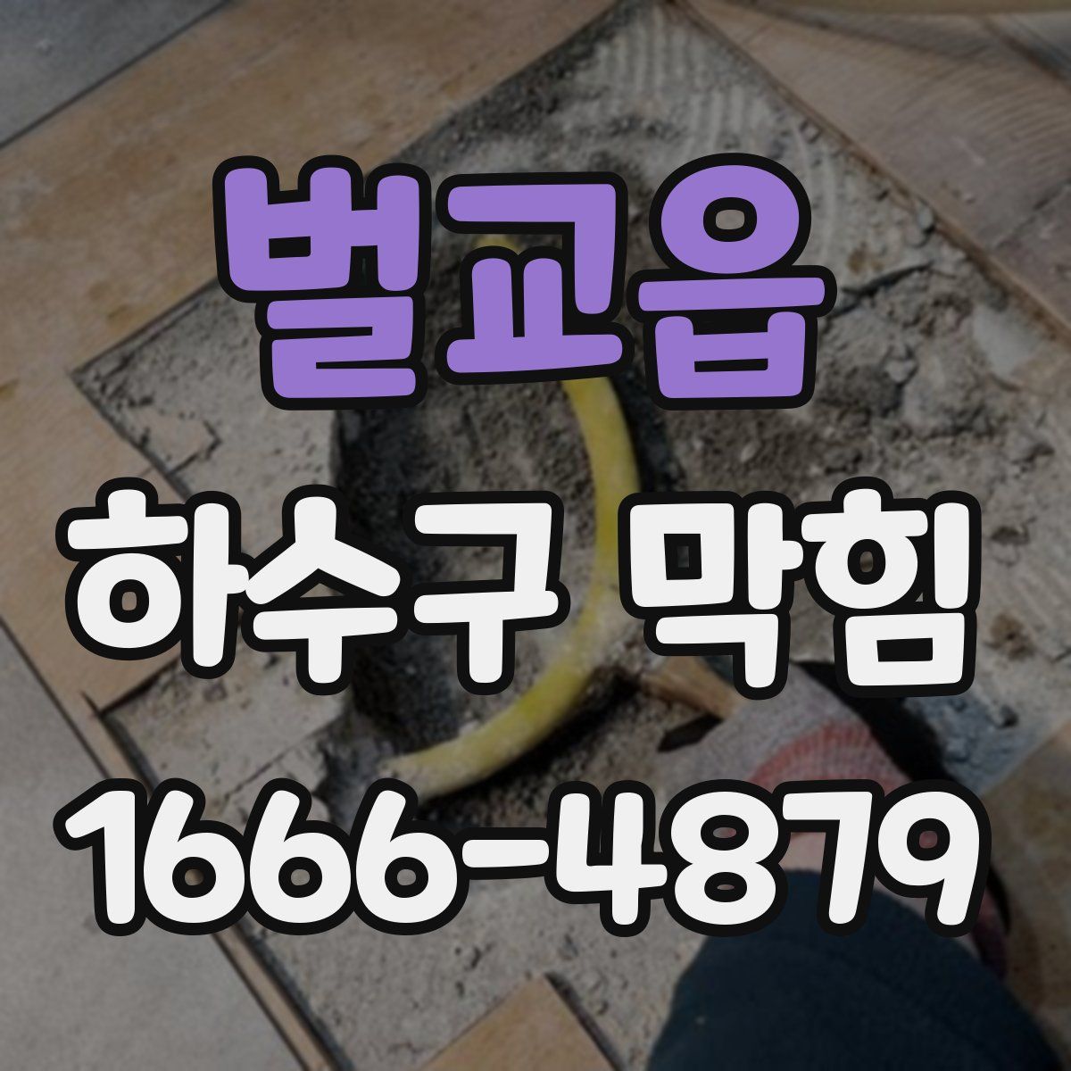 벌교읍 하수구 막힘