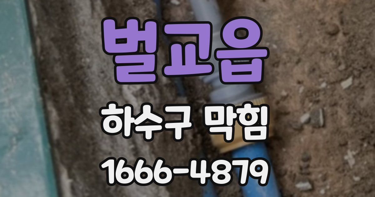 벌교읍 하수구 막힘