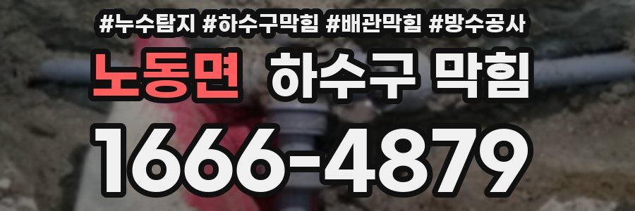 노동면 하수구 막힘