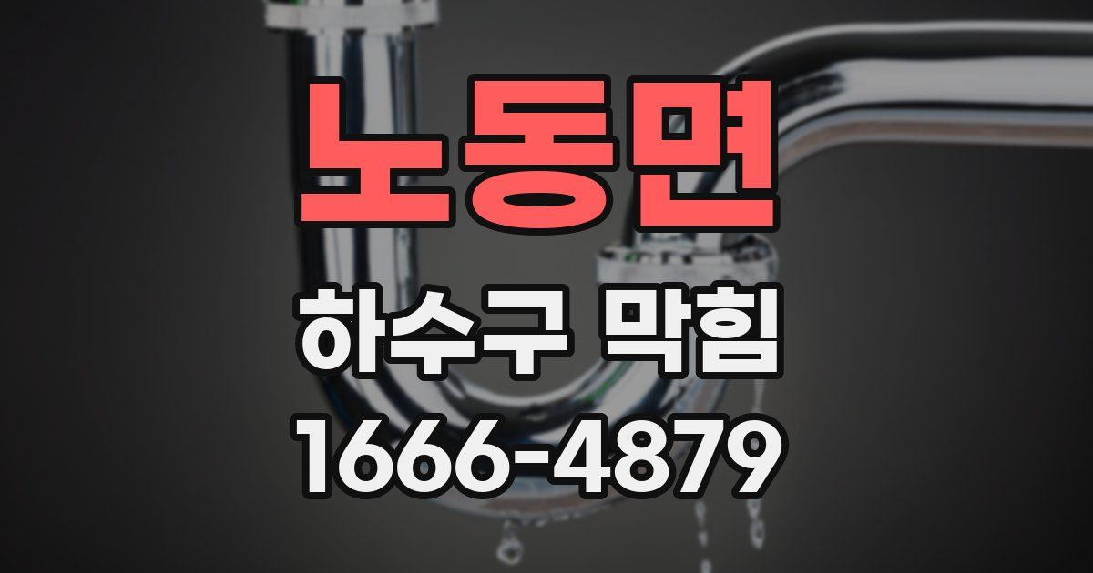 노동면 하수구 막힘
