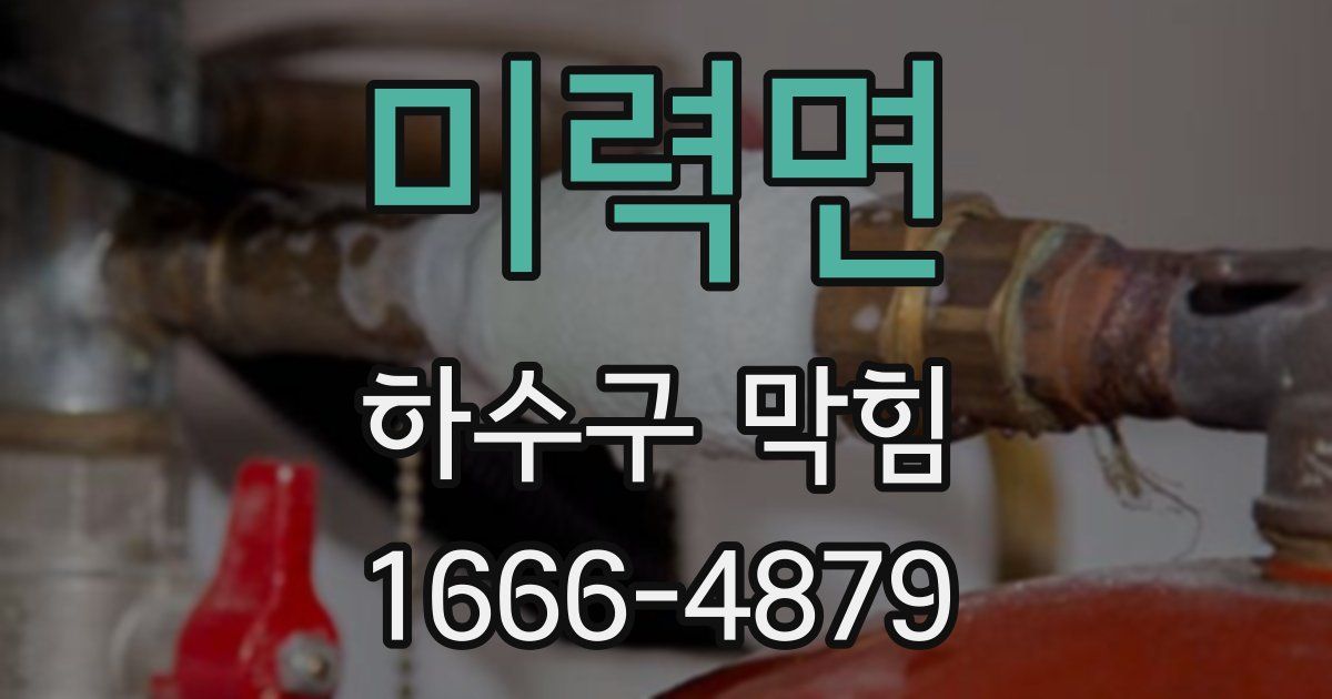 미력면 하수구 막힘