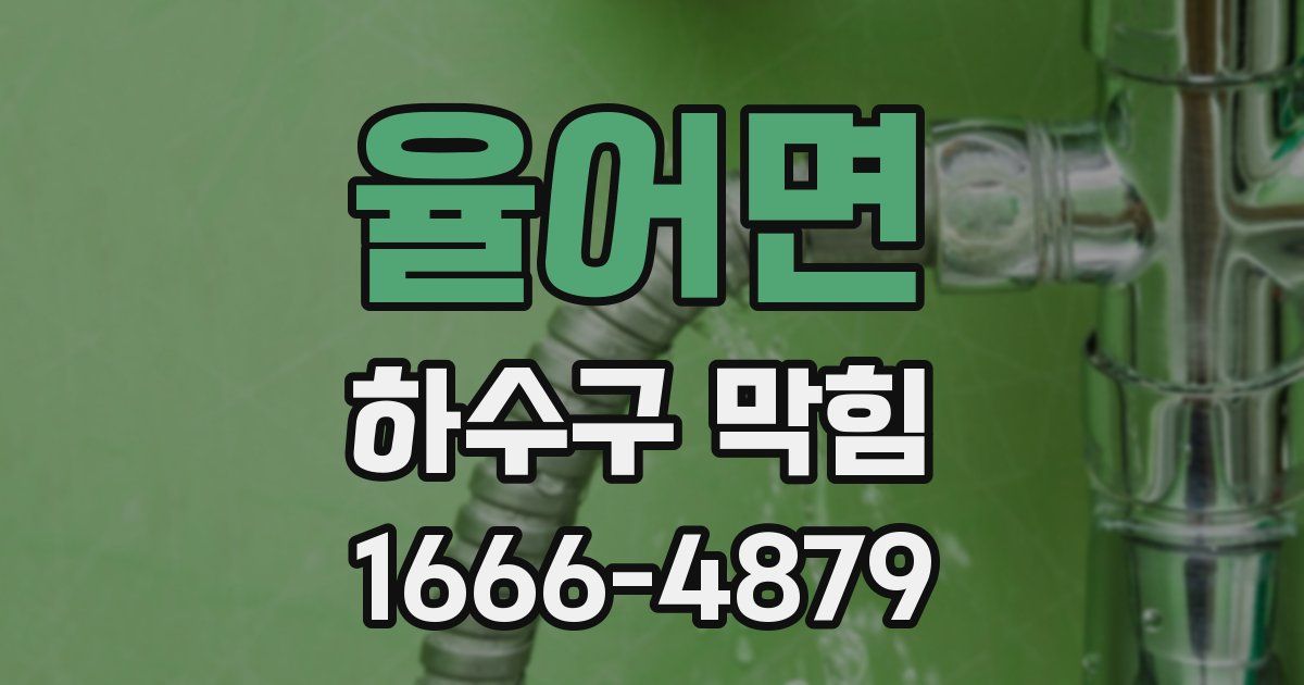 율어면 하수구 막힘