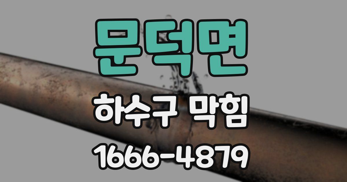 문덕면 하수구 막힘