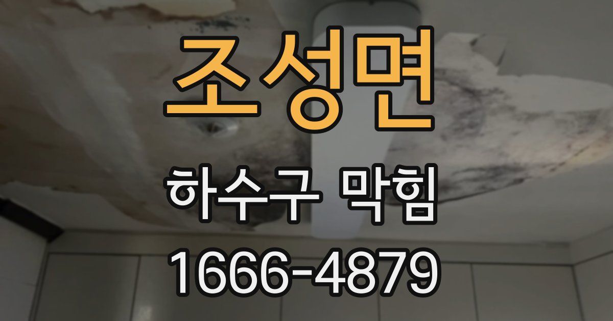 조성면 하수구 막힘