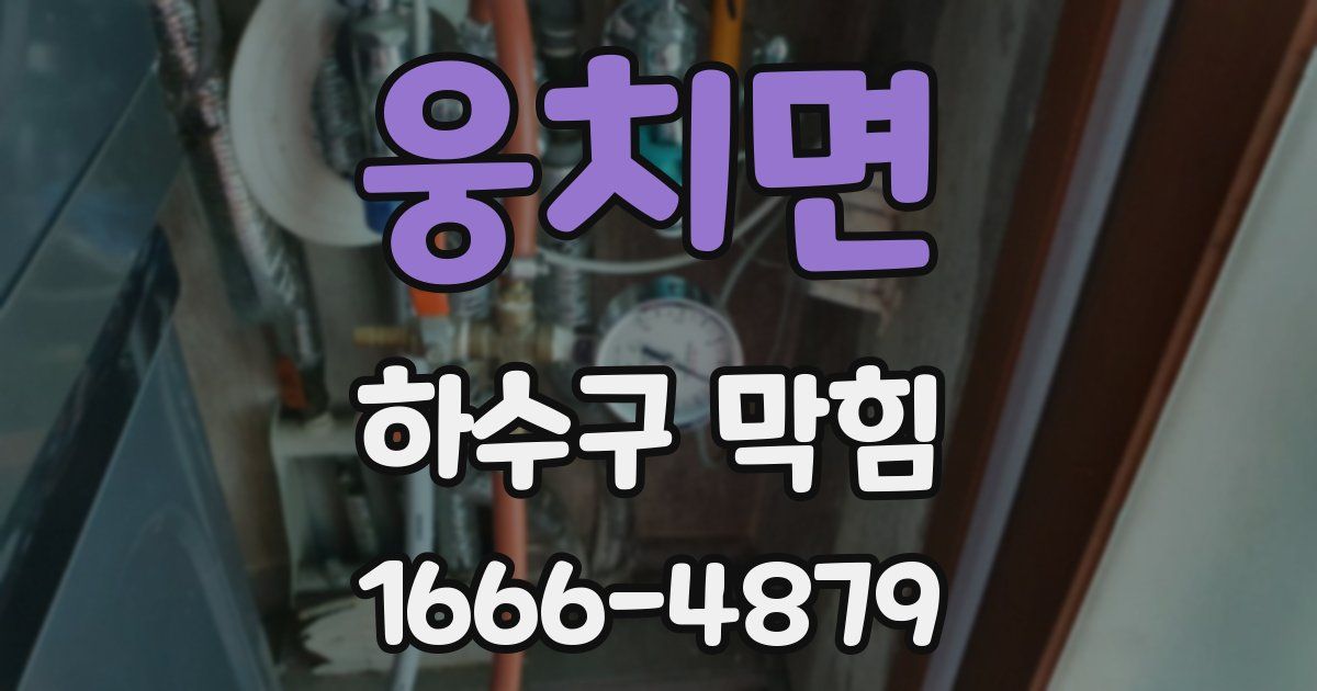 웅치면 하수구 막힘