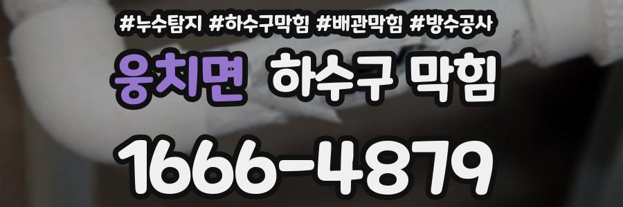 웅치면 하수구 막힘