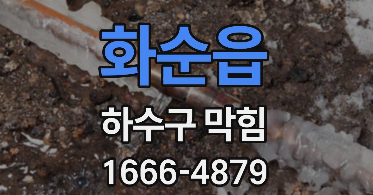 화순읍 하수구 막힘