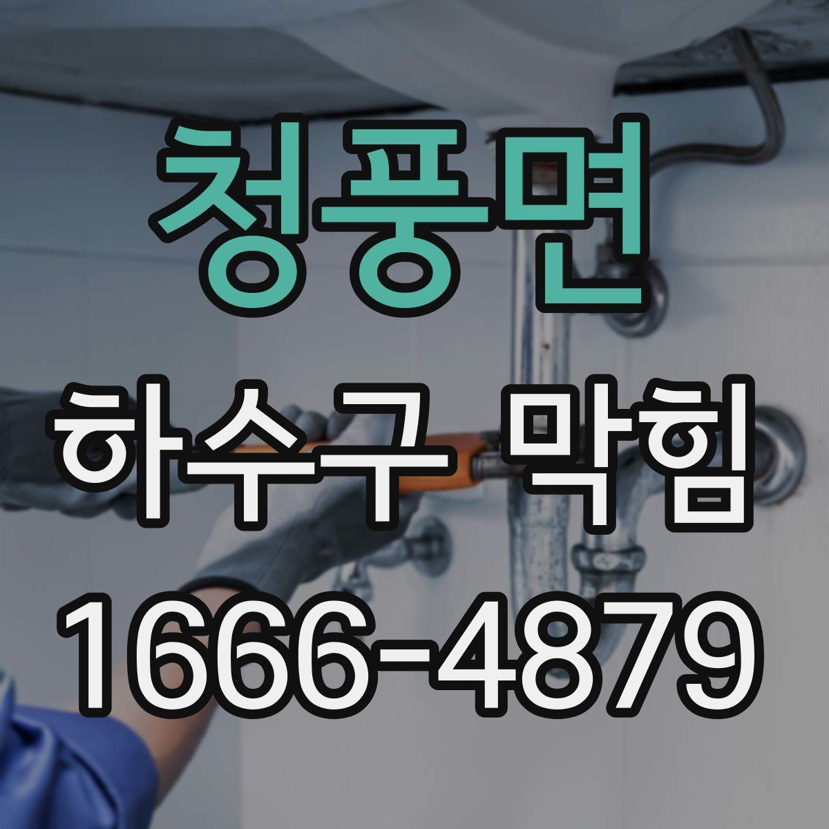 청풍면 하수구 막힘