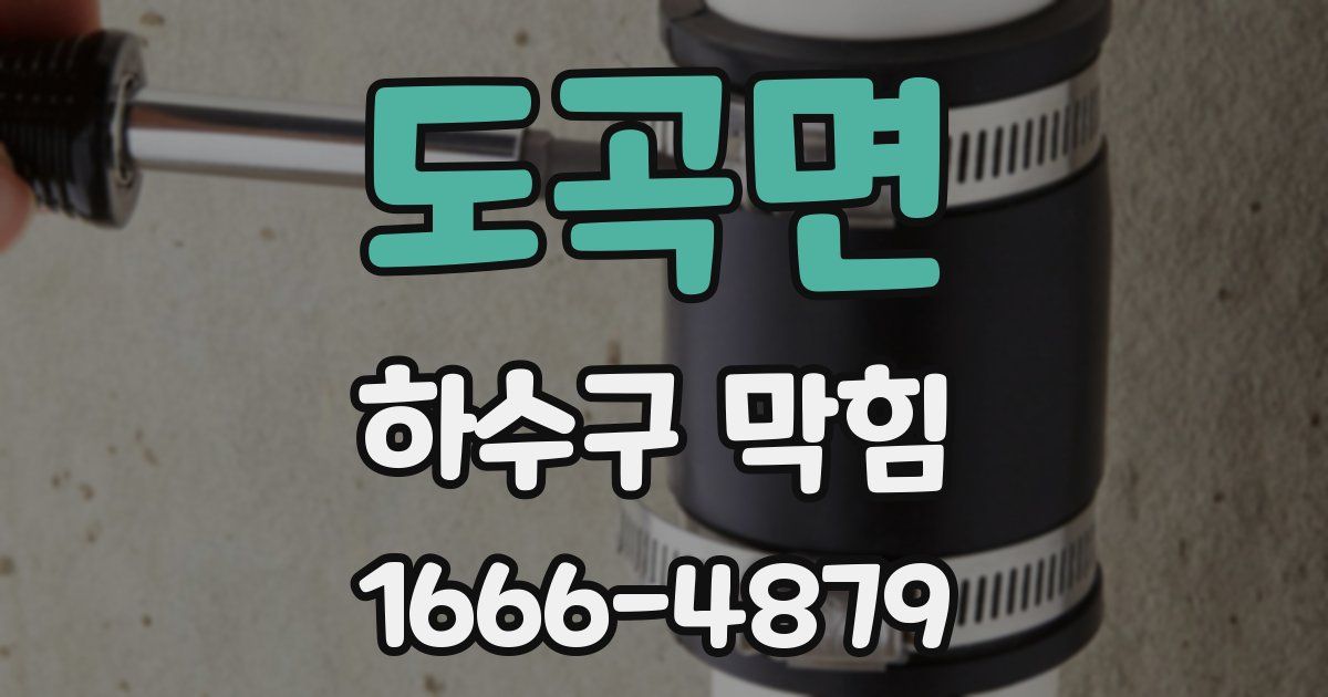 도곡면 하수구 막힘