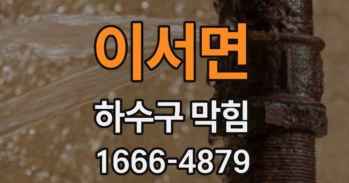 이서면 하수구 막힘