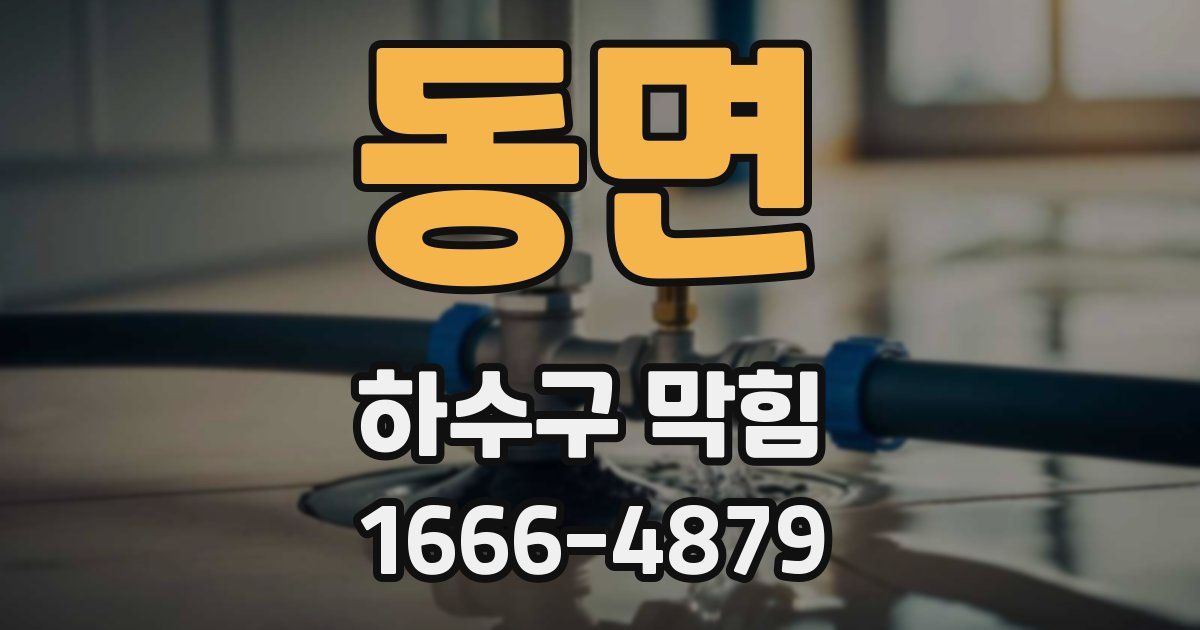 동면 하수구 막힘
